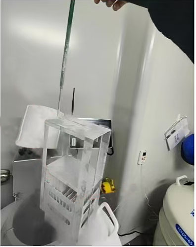 提桶 提桶