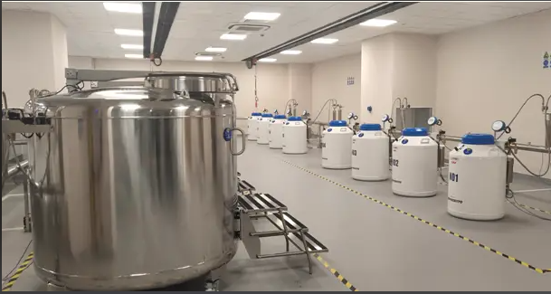 液氮系统